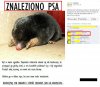 No tak, mamy wakacje, 