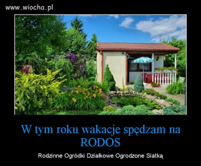 "RODOS"...