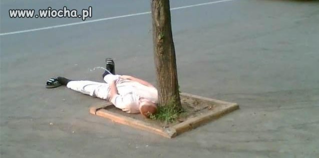 Takie tam, na zrzucie...
