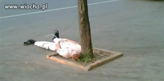 Takie tam, na zrzucie...
