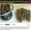 Absurd polski