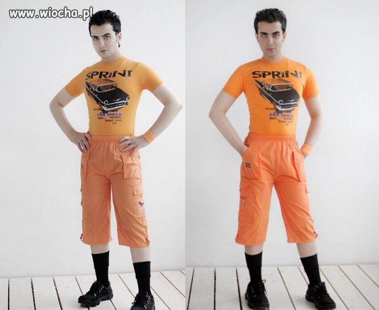 Ale model