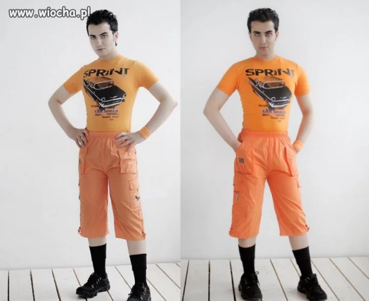 Ale model