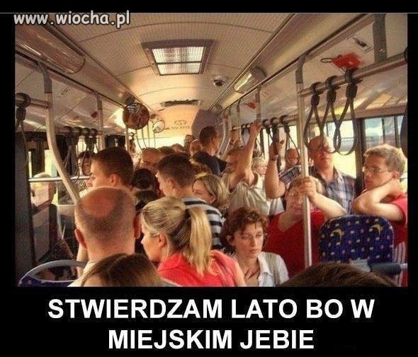 Lato w mieście