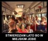 Lato w mieście