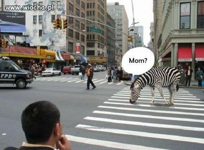 Mom..?