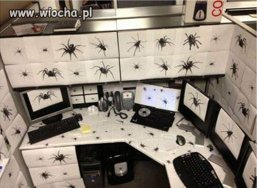 Spokojnie
