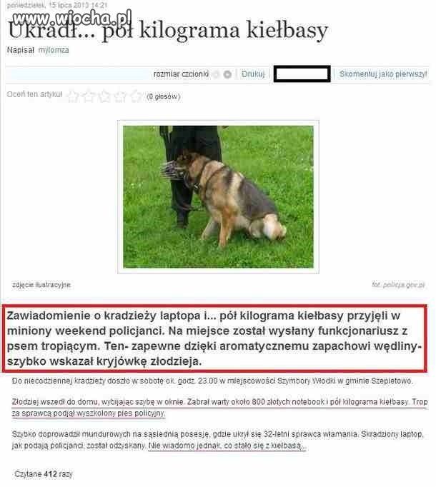 Artykuły 