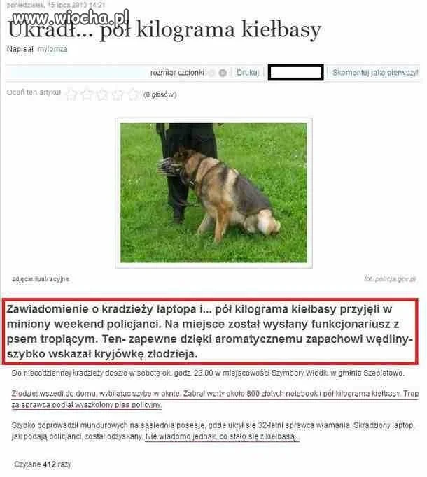 Artykuły 
