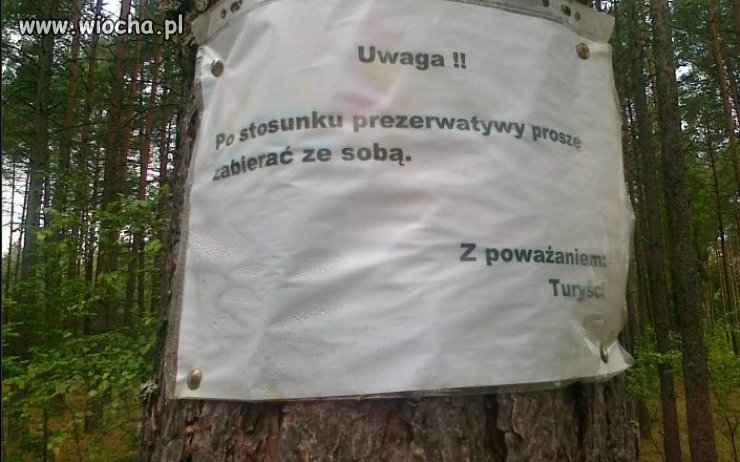 O lasy trzeba dbać...