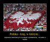Polska,   