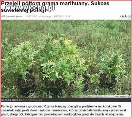 2 kg wyjarali nasza kochana policja