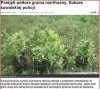 2 kg wyjarali nasza kochana policja