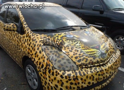 Auto-zoo-filia
