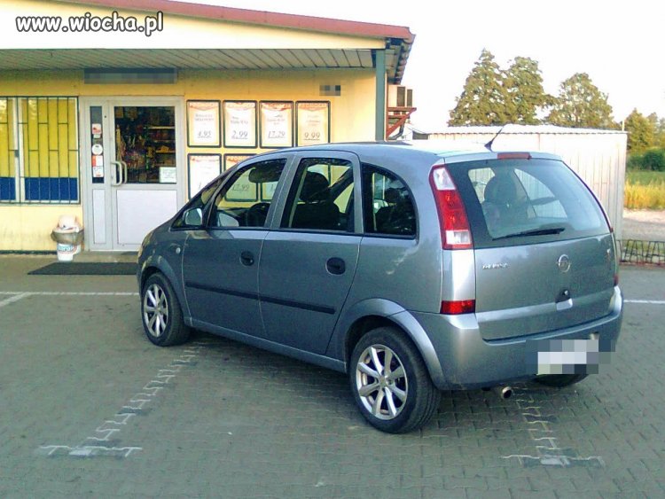 Mistrz parkowania
