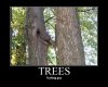 Miłość niejedno ma imię