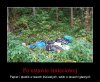 I nie ma w tym nic śmiesznego...