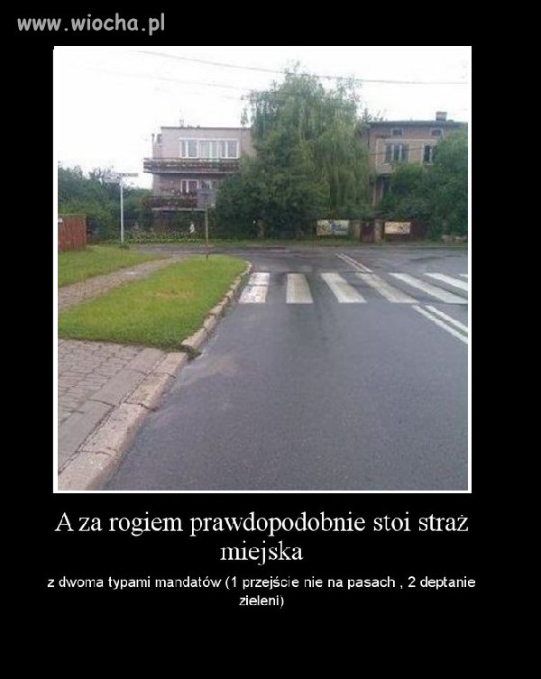 Polska kraj największych absurdów.