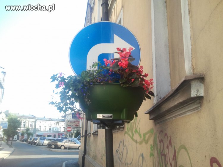 Znaki drogowe w Gnieźnie