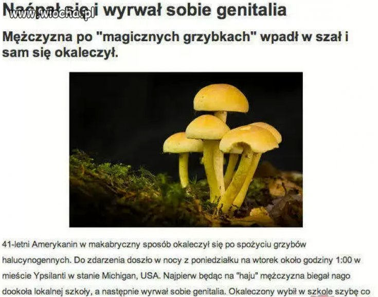 Naćpał się i wyrwał sobie genitalia...
