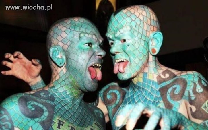 2 facetów węży