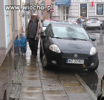 W miejskiej dżungli...hipopotam na drodze