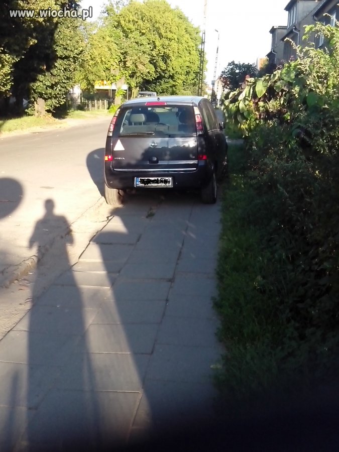Mistrz parkowania