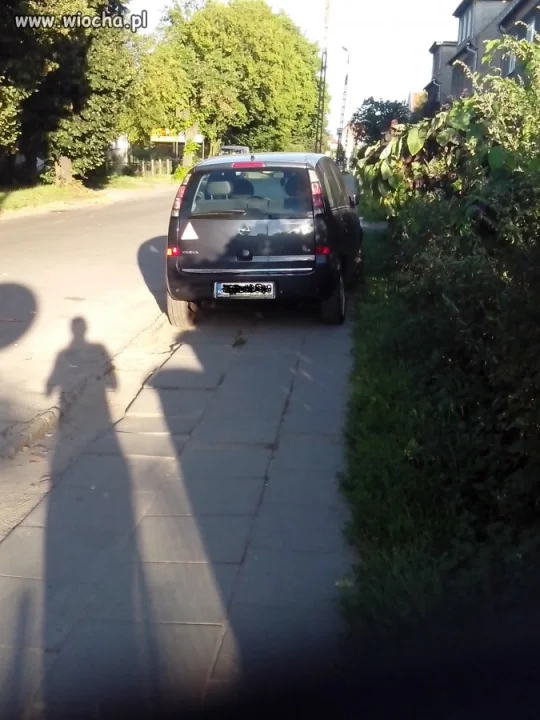 Mistrz parkowania