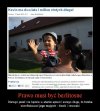 Kevin ma dwa latka i milion złotych długu !