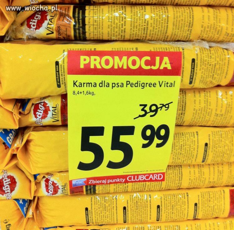Niespotykana promocja