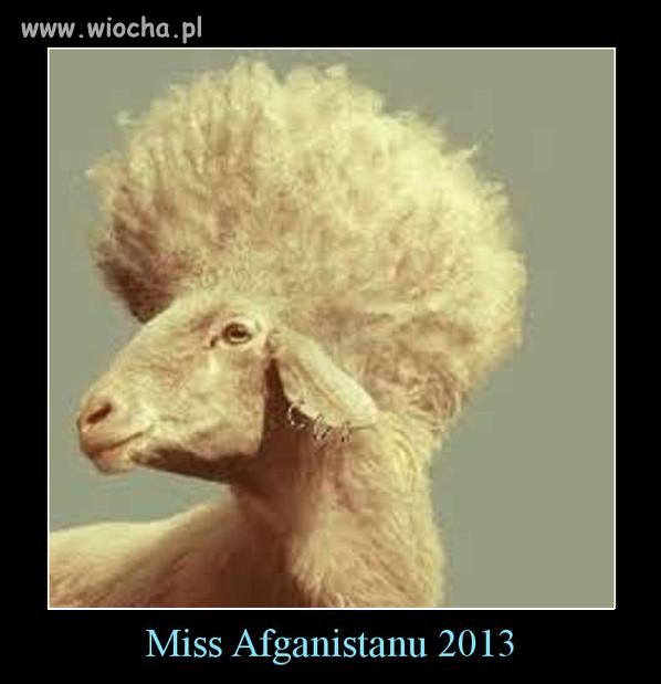 Miss Afganistanu 2013