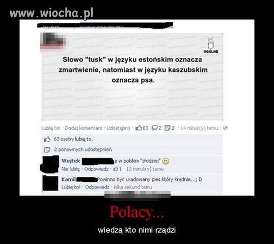 Słowo tusk
