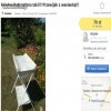 Zaczął się szał na Kate