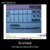 A - kursuje tylko przy