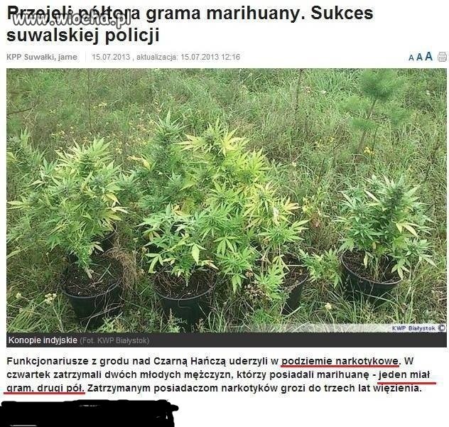 Podziemie narkotykowe miało oszałamiająco dużo...