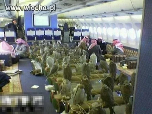 W pewnym islamskim samolocie