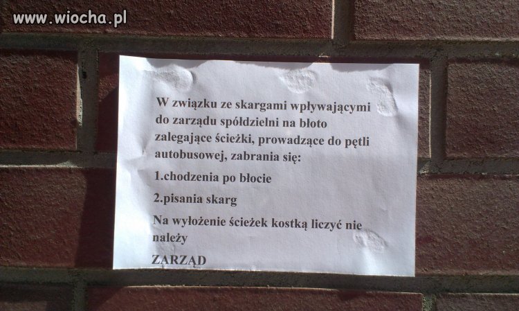 Albo debile w zarządzie