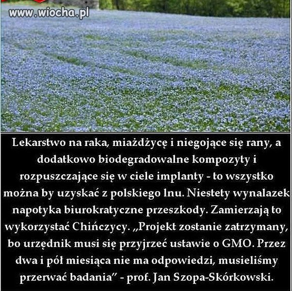 I niczego nie będzie