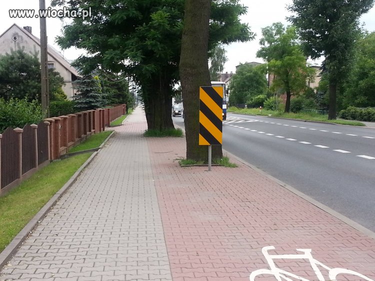 Polskie ścieżki rowerowe