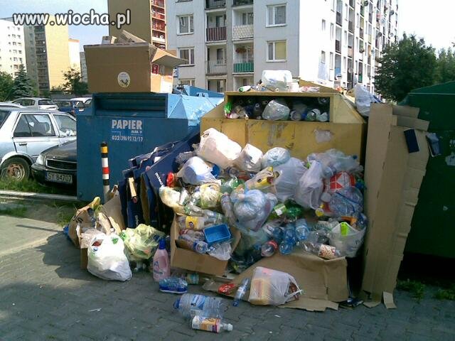 Ekologia
