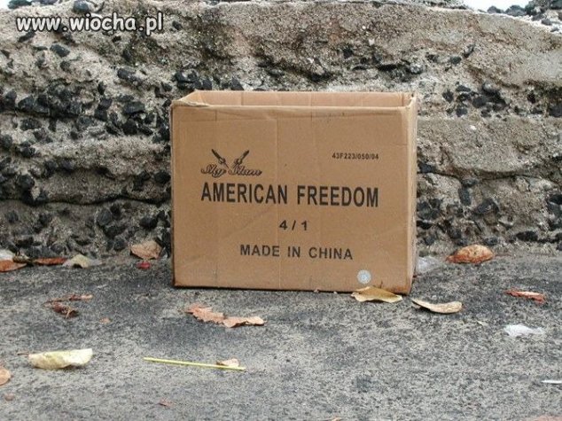 American Freedom...