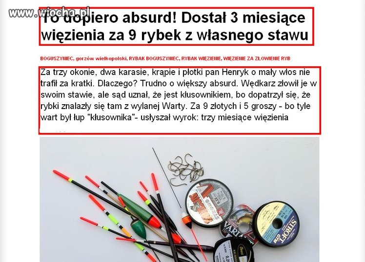 Dostał 3 miesiące więzienia za 9 rybek...