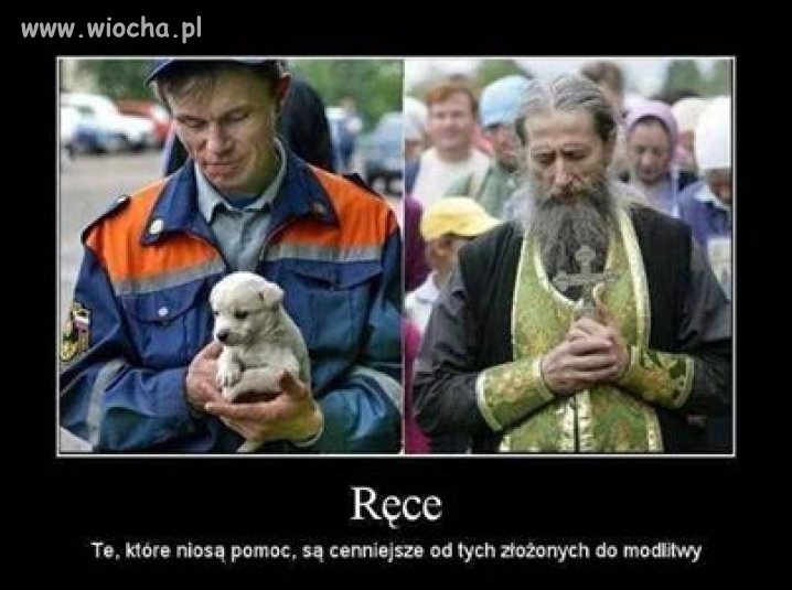 Są ludzie i są pasożyty...