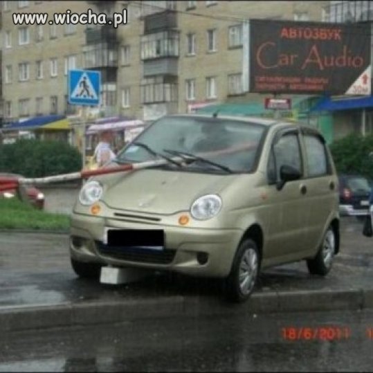 Mistrz kierownicy