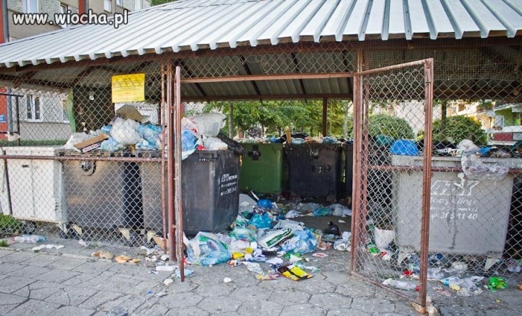 Kultura wyrzucania śmieci
