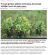 Mega sukces odważnej polskiej Policji