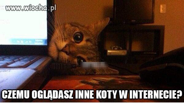 Zazdrość