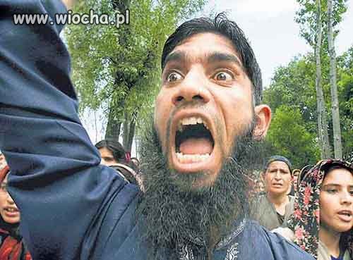 NIE KAŻDY MUSLIM TO TERRORYSTA.