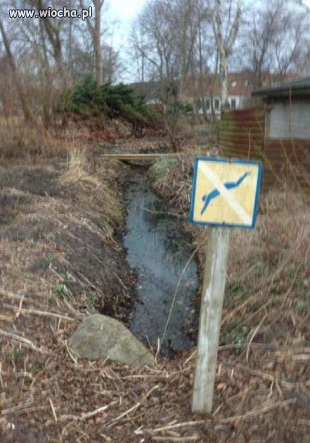 Dobrze,że znak postawili,ja bym skoczył