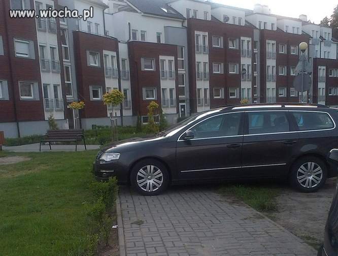 "Miszcz"